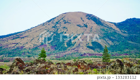 beautiful view of tropical rainforest shrouded in mist 133283112