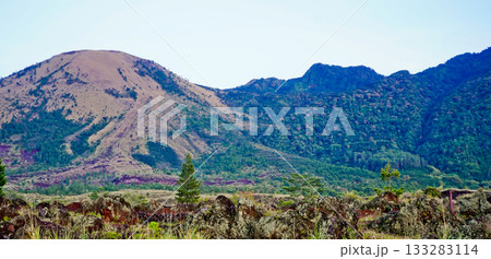 beautiful view of tropical rainforest shrouded in mist beautiful view of tropical rainforest shrouded in mist 133283114