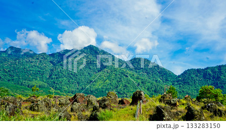 beautiful view of tropical rainforest shrouded in mist beautiful view of tropical rainforest shrouded in mist 133283150