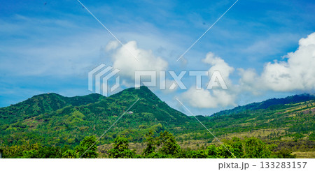 beautiful view of tropical rainforest shrouded in mist beautiful view of tropical rainforest shrouded in mist 133283157