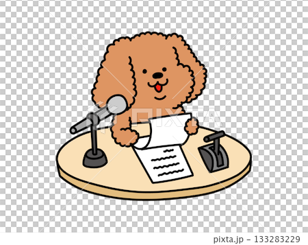 一隻可愛的貴賓犬在麥克風前朗讀劇本。 133283229