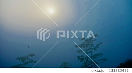 beautiful view of the morning sun shrouded in mist beautiful view of the morning sun shrouded in mist 133283451