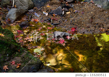 紅葉の水面 紅葉の水面 133283511