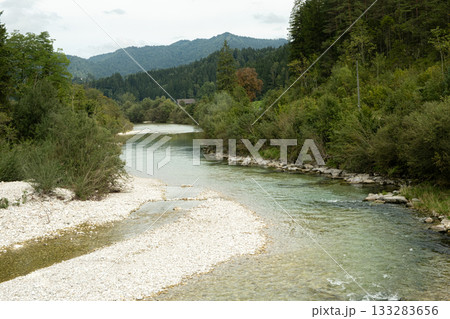 Beautiful Natural Background with Forest River in Summer 133283656