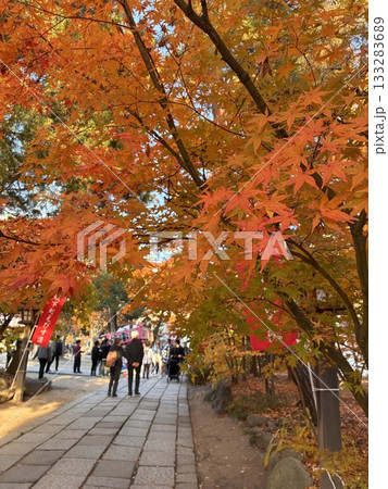 紅葉の色づく秋祭り（11月 長野県松本市 四柱神社） 133283689