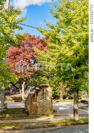 銀杏にある大阪城公園 銀杏にある大阪城公園 133283755
