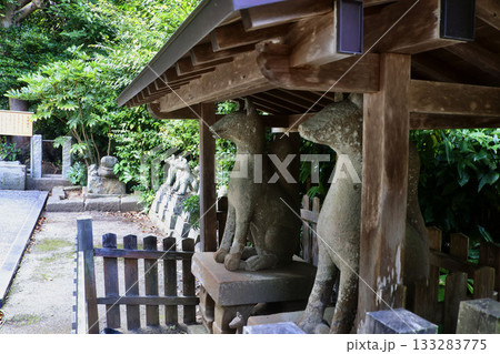 城山稲荷神社・石狐（島根県・松江市） 133283775