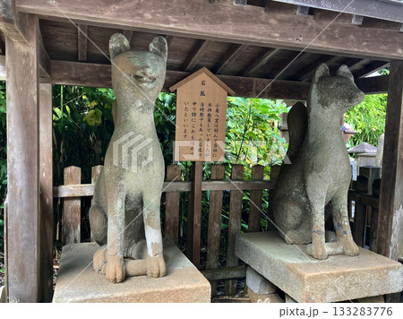 城山稲荷神社・石狐（島根県・松江市） 133283776