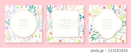 ボタニカル柄のフレームイラストセット 133283826