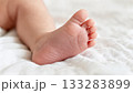 Baby Toes Close-up Macro Tiny Feet Detail 133283899