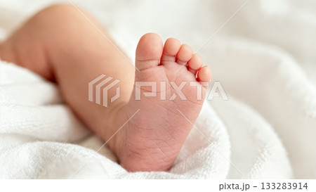 Baby Toes Close-up Macro Tiny Feet Detail 133283914