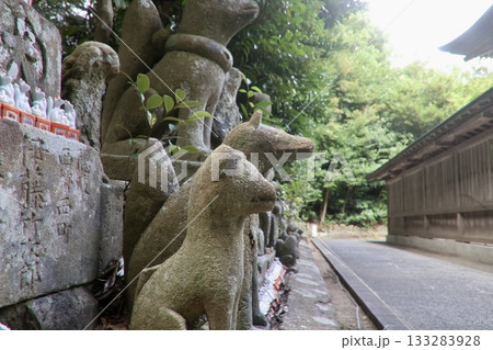 城山稲荷神社・石狐（島根県・松江市） 133283928