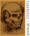 Intricate skeletal artwork featuring detailed human skull 133283951