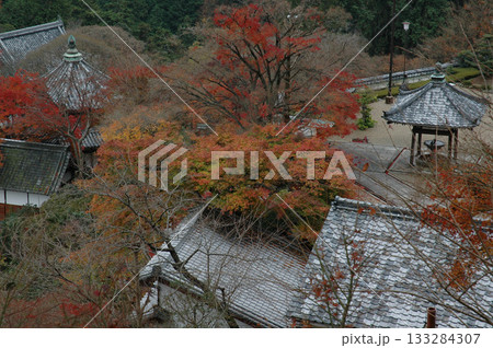 Autumn Kyoto / 晩秋の京都旅行~高台から眺める紅葉の進む古刹寺院の早朝のお散歩風景 Autumn Kyoto / 晩秋の京都旅行~高台から眺める紅葉の進む古刹寺院の早朝のお散歩風景 133284307