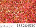 一面の紅葉 133284530