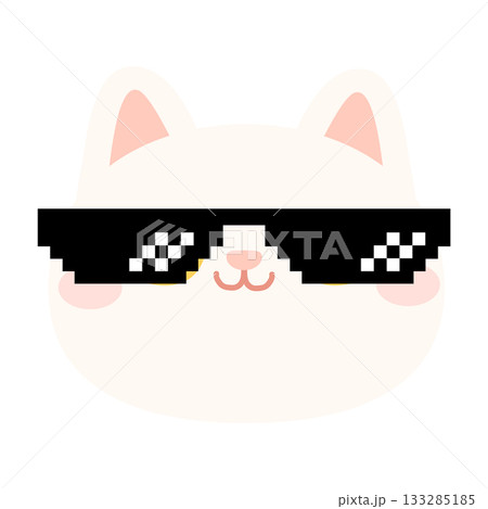 Cartoon Cat with Pixel Glasses Cartoon Cat with Pixel Glasses 133285185