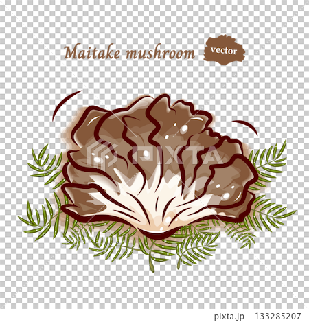 Maitake mushroom pop art material | Cute mushroom vector illustration Maitake mushroom pop art material | Cute mushroom vector illustration 133285207