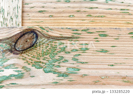 Green mold on wooden fence. 133285220