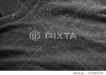 Pet hair on clothes. Cat hair on T shirt. Pet hair on clothes. Cat hair on T shirt. 133285234