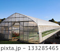 花を栽培するビニールハウスの風景 133285465