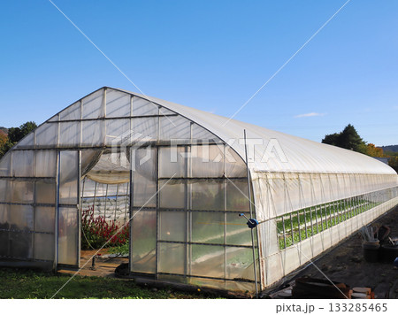 花を栽培するビニールハウスの風景 花を栽培するビニールハウスの風景 133285465