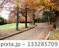 兵庫県三木市・県立公園の秋、紅葉 133285709