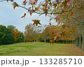 兵庫県三木市・県立公園の秋、紅葉 133285710