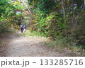 兵庫県三木市・県立公園の秋、紅葉 133285716