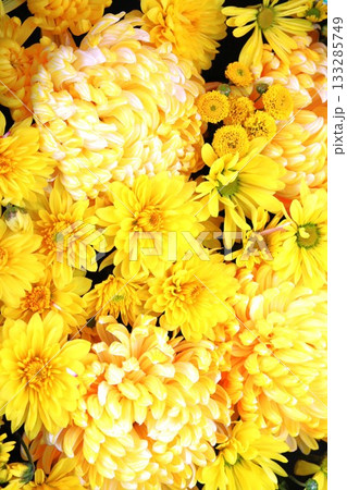 黄色の花のイメージ素材 黄色の花のイメージ素材 133285749
