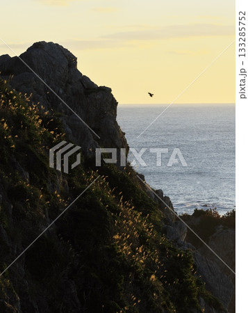 朝焼けの伊良湖防備衛所跡から日出の石門（岸の石門）の断崖絶壁を臨む 133285752