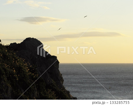 朝焼けの伊良湖防備衛所跡から日出の石門（岸の石門）の断崖絶壁を臨む 133285755