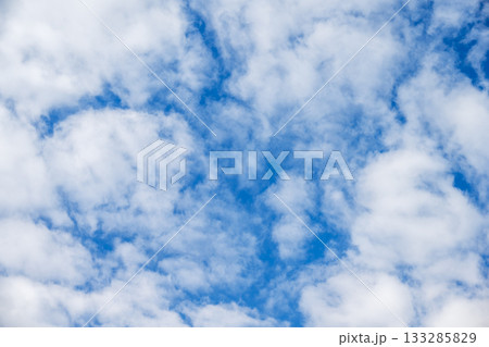秋の空 青空 空 晴れ 11月 【神奈川県 厚木市】 133285829