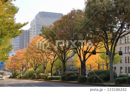 外務省裏の紅葉 133286282