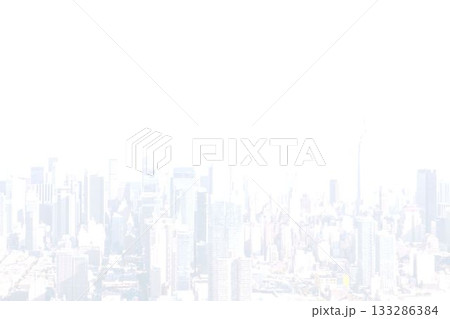 High angle view of city skyline 133286384