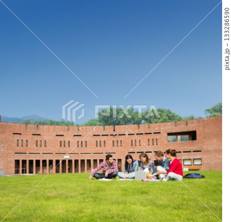 Flat design showing five students studying on grass by red brick building with notebooks, laptop Flat design showing five students studying on grass by red brick building with notebooks, laptop 133286590