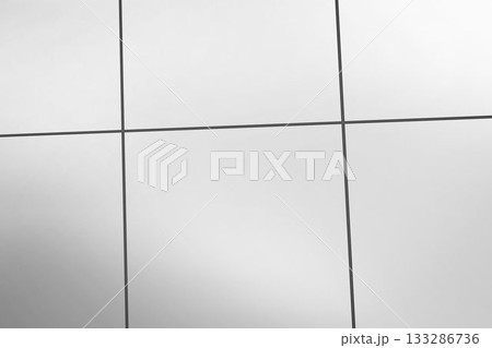 Minimalist partition wall being shown in flat design, featuring thin dark grid lines 133286736
