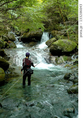 鹿留川源流の渓流釣り 133286843