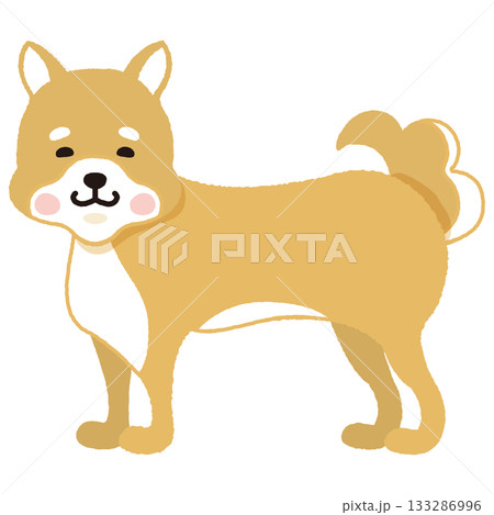 茶色い柴犬（横向き） 133286996