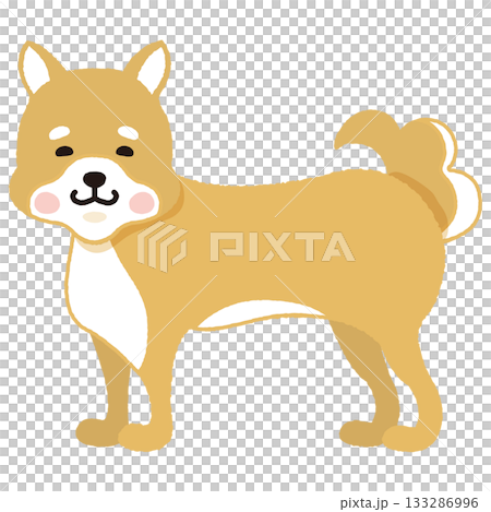 茶色い柴犬（横向き） 133286996