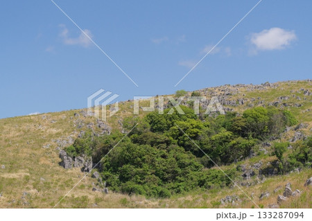 2025年春の枯れ草が残る秋吉台 133287094