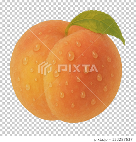 【水果】多汁桃子的插圖 133287637