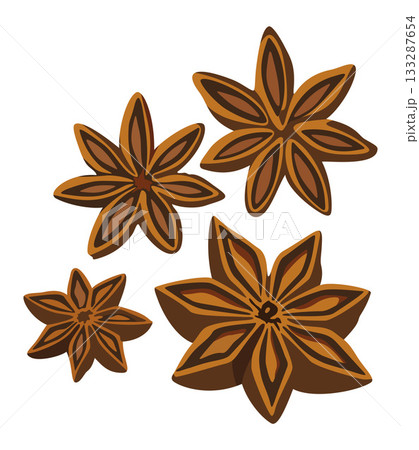 Anise stars. Vector isolated illustration Anise stars. Vector isolated illustration 133287654