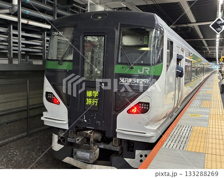 川崎駅に停車中の「JR東日本E257系電車（修学旅行列車）」 133288269