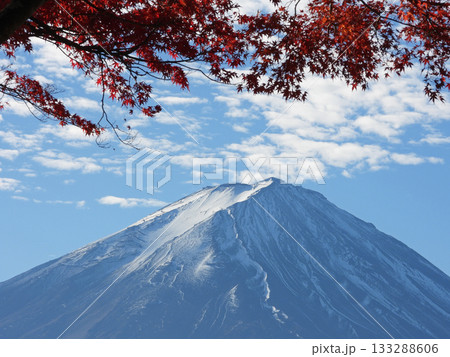 富士山と紅葉 133288606