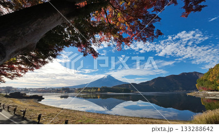 富士山と紅葉 133288642