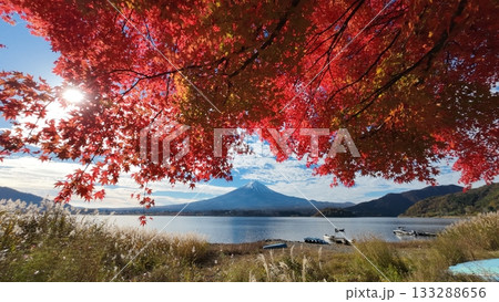 富士山と紅葉 富士山と紅葉 133288656
