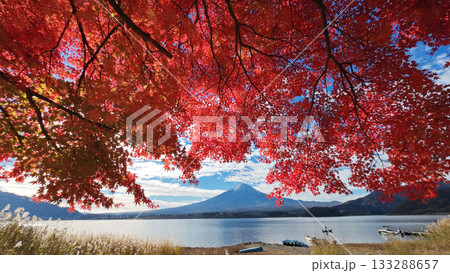 富士山と紅葉 133288657