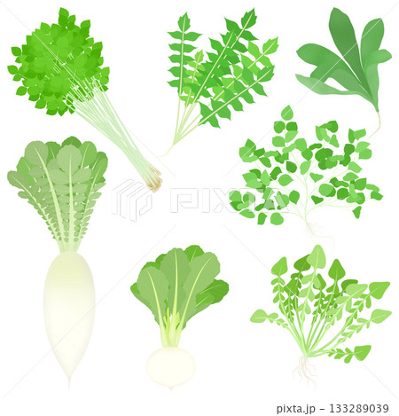 春の七草のイラスト 133289039