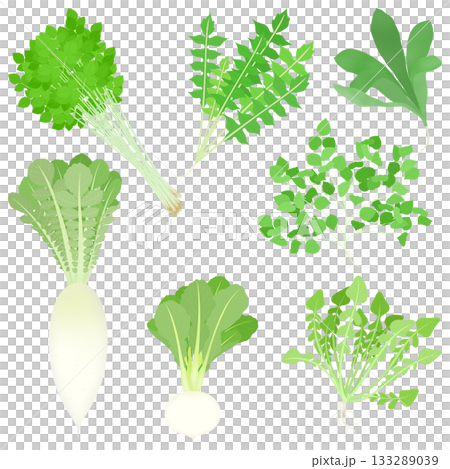 春の七草のイラスト 133289039