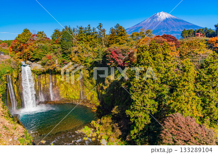 【静岡県】音止の滝・紅葉　富士山 133289104